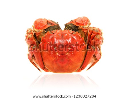 Cooked Chinese hairy crab isolated on white background