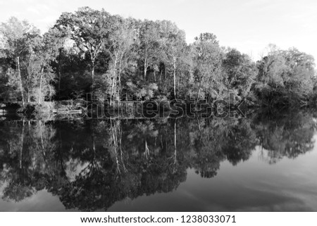Black and white image of river bank and sky in the water with mirror reflections.