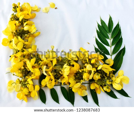 Background / texture; from bouquet of yellow flowers and green leaves.