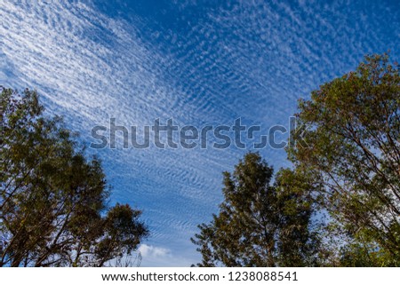 High cloud / Cirrocumulus on bright winter blue sky in landscape with space in the middle of the picture.