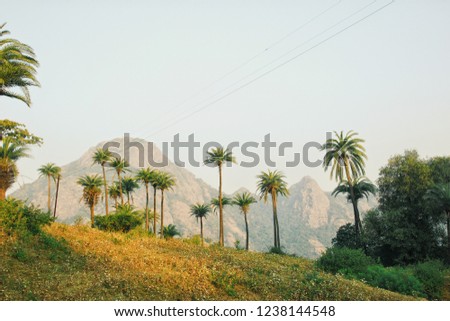 This picture is taken at Mount Abu, Rajasthan. It was taken during hiking.