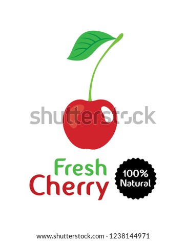 100% natural fresh cherry vector