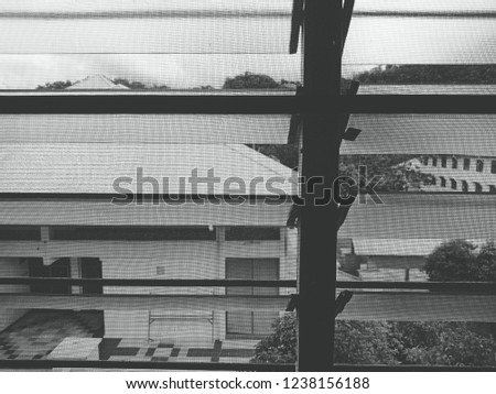 Black and white picture of windows.