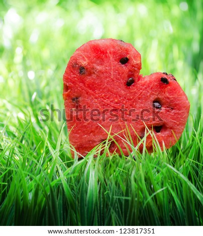 Watermelon heart on green grass. Valentine concept.