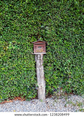 The wooden mail box is between the bushes in a quiet countryside.