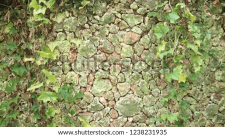 Stone wall of natural stones in different sizes.