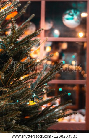 Branches of a Christmas tree on the background of an illuminated window to a decorated room