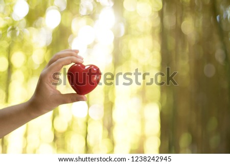 Woman hands holding red heart