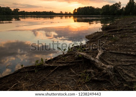 Summer evening. Summer is a wonderful warm and sunny time of the year. Ukraine is famous for its rivers and nature. This photo was taken in the summer in Ukraine on the bank of a beautiful river.