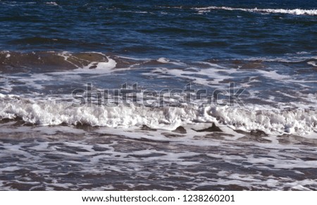 view of the waves of the Black Sea in autumn