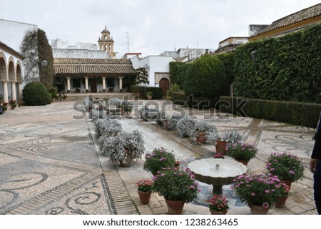 patio garden in Spain
