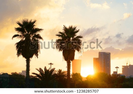 Cityscape with vivid fiery dawn. Amazing warm dramatic cloudy sky above dark silhouettes of city buildings. Orange sunlight. Atmospheric background of sunrise in overcast weather. Copy space