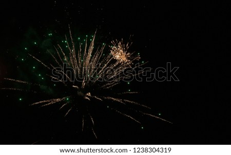 Fireworks lights in the night sky