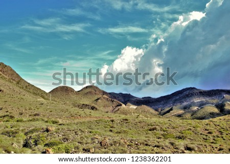 The volcanic desert of Cabo de Gata with a mantle of green grass due to the autumn rains, Almería, Andalusia, spain,