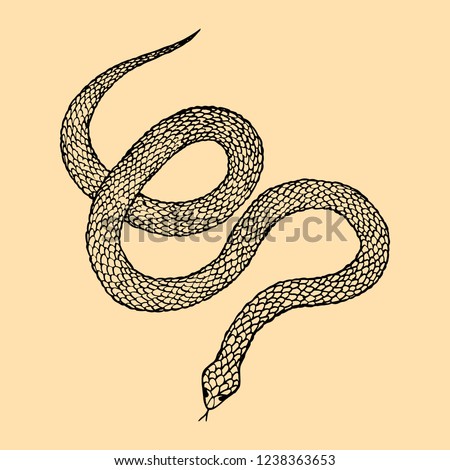 Hand drawn vintage snake, vector  illustration. Snake silhouette illustration. Vector tattoo design. Graphic sketch for posters, tattoo, clothes, t-shirt design, pins, patches, badges, stickers. 