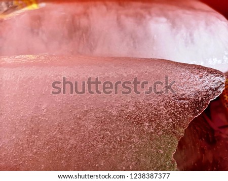 Air bubbles are trapped inside the ice blocks, causing them to look cloudy along the edge. Less bubbles are found near to the chipped off part of ice block. Red basin reflects light on ice
