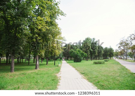 Park in the city center in sunny bright summer weather