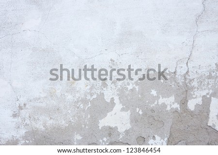 white background wall.