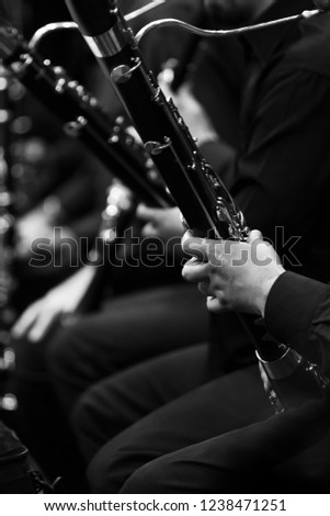  Bassoon in the hands of a musician in an orchestra in black and white closeup Royalty-Free Stock Photo #1238471251