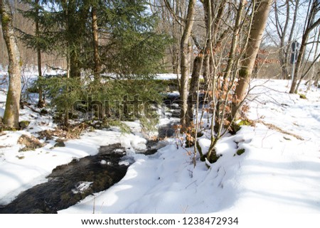 a small frozen and failed river in the woods of the rhön, 