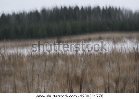 Abstract dynamic depressive autumn and winter pictures for a background.