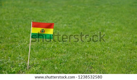 Bolivia flag. Photo of Bolivian flag on a green grass lawn background. Close up of national flag waving outdoors.
