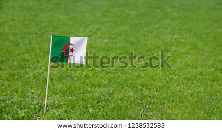 Algeria flag. Photo of Algerian flag on a green grass lawn background. Close up of national flag waving outdoors.