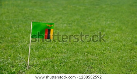 Zambia flag. Photo of  Zambia flag on a green grass lawn background. Close up of national flag waving outdoors.