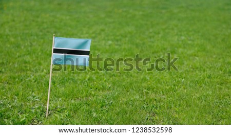 Botswana flag. Photo of Botswana flag on a green grass lawn background. Close up of national flag waving outdoors.