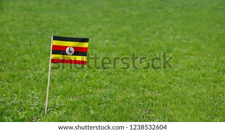 Uganda flag. Photo of Uganda flag on a green grass lawn background. Close up of national flag waving outdoors.