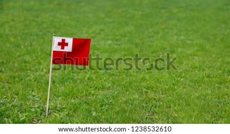 Tonga flag. Photo of Tonga flag on a green grass lawn background. Close up of national flag waving outdoors.