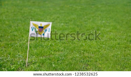 U.S. Virgin Islands flag. Photo of United States Virgin Islands flag on a green grass lawn background. Close up of national flag waving outdoors.