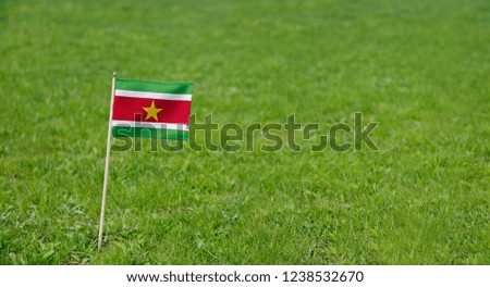 Suriname flag. Photo of Suriname flag on a green grass lawn background. Close up of national flag waving outdoors.