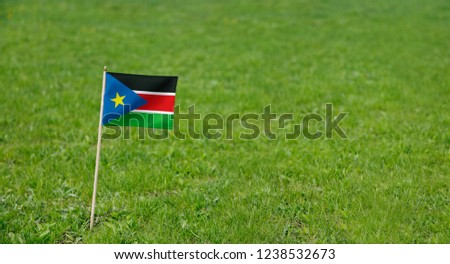 South Sudan flag. Photo of South Sudan  flag on a green grass lawn background. Close up of national flag waving outdoors.