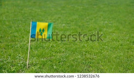 Saint Vincent and the Grenadines flag. Photo of the flag on a green grass lawn background. Close up of national flag waving outdoors.