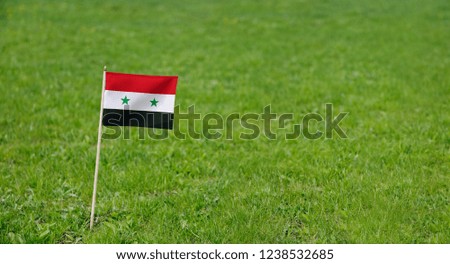 Syria flag. Photo of Syrian flag on a green grass lawn background. Close up of national flag waving outdoors.
