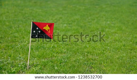 Papua New Guinea flag. Photo of Papua New Guinea flag on a green grass lawn background. Close up of national flag waving outdoors.