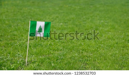 Norfolk Island flag. Photo of Norfolk Island flag on a green grass lawn background. Close up of national flag waving outdoors.