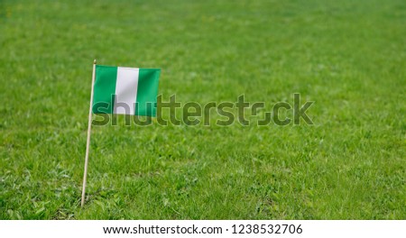 Nigeria flag. Photo of Nigerian flag on a green grass lawn background. Close up of national flag waving outdoors.