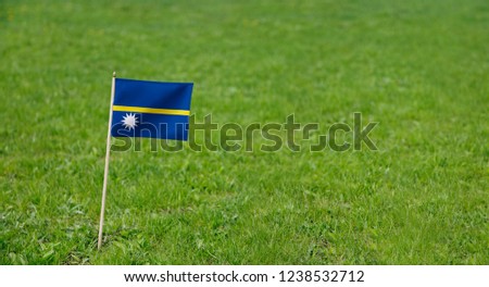 Nauru flag. Photo of Nauru flag on a green grass lawn background. Close up of national flag waving outdoors.