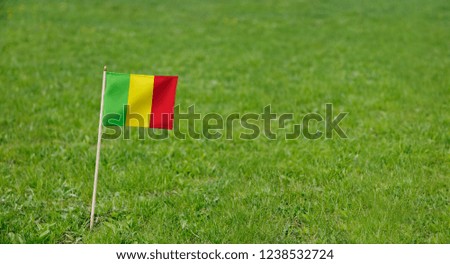 Mali flag. Photo of Mali flag on a green grass lawn background. Close up of national flag waving outdoors.