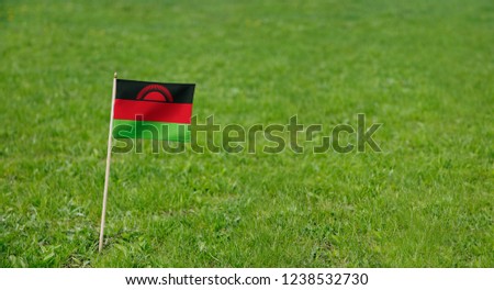 Malawi flag. Photo of Malawi flag on a green grass lawn background. Close up of national flag waving outdoors.