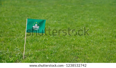 Macau flag. Photo of Macau flag on a green grass lawn background. Close up of national flag waving outdoors.