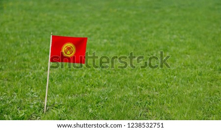 Kyrgyzstan flag. Photo of Kyrgyzstan flag on a green grass lawn background. Close up of national flag waving outdoors.