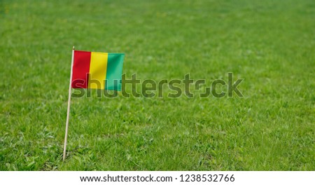 Guinea flag. Photo of Guinean flag on a green grass lawn background. Close up of national flag waving outdoors.