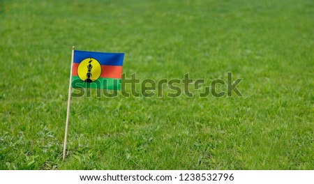 New Caledonia flag. Photo of Kanak flag on a green grass lawn background. Close up of national flag waving outdoors.