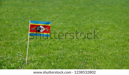 Eswatini flag. Photo of Eswatini flag on a green grass lawn background. Close up of national flag waving outdoors.