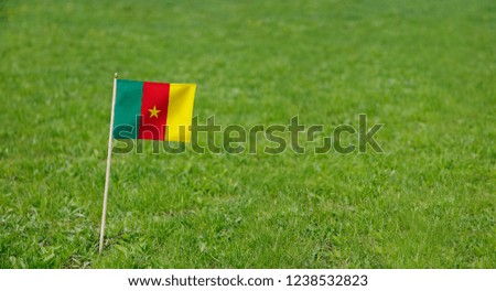 Cameroon flag. Photo of Cameroon flag on a green grass lawn background. Close up of national flag waving outdoors.