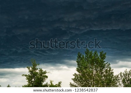 Natural background. A picture of an approaching storm. Tree branches in front of storm clouds.