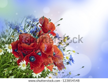 poppies, daisies ,cornflowers in bouquet